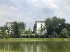 -西海子公园