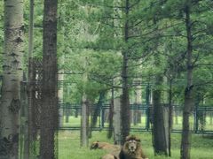 -秦皇岛野生动物园