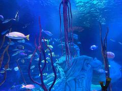 -沈阳海洋探索中心