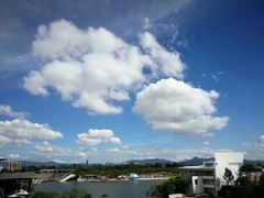 -宝安西湾红树林湿地公园