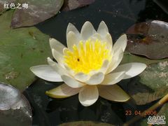 -西安青龙寺遗址景区