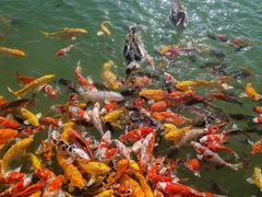 -泰安地下龙宫景区