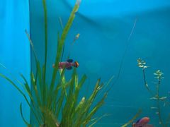 -上海海洋水族馆