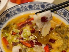 -麒麟中餐厅·经典粤菜·地道菜式老字号(广州长隆酒店)