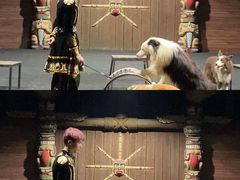 -汕头蓝水星欢乐世界
