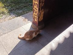 -长春观