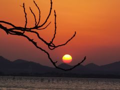 -东钱湖旅游度假区