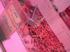 -马家老鸡店