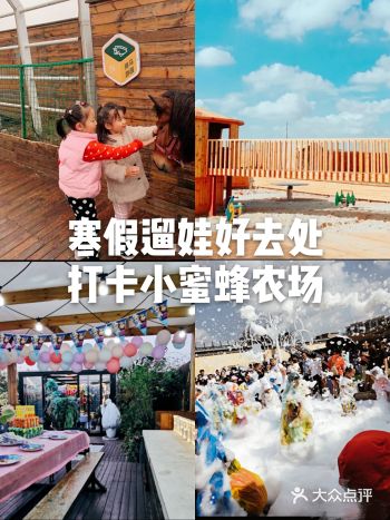 寒假遛娃好去处打卡小蜜蜂农场