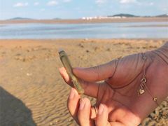 -日照灯塔风景区