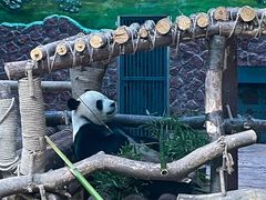 景点-黔灵山公园