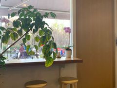 用餐区-琥珀咖啡 Ambercoffee