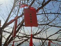 -白佛山景区