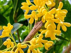 -颐和园