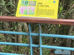 -吴淞炮台湾湿地森林公园烧烤区