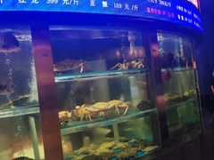 -1718海鲜姿造(苏宁宴请臻选店)