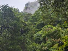 -井冈山风景名胜区