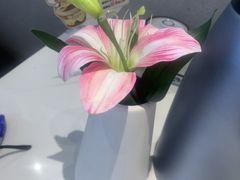 -船歌·鱼水饺青岛菜(枫蓝国际购物中心店)