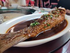 -山菌美食苑(振兴路店)
