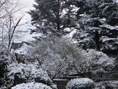-莫干山风景区