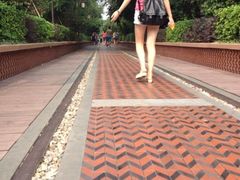 iphone_upload_pic-铁路文化公园