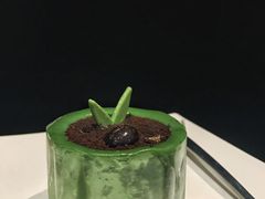春意萌萌谷物蛋糕-星巴克臻选(深圳金光华店)