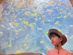 -杭州开元森泊度假乐园