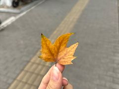 -鸡鸣汤包(罗廊巷店)
