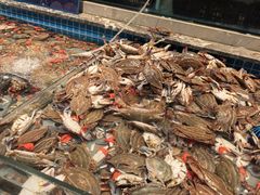 -一方渔歌蒸汽海鲜自助(文化路万达广场店)