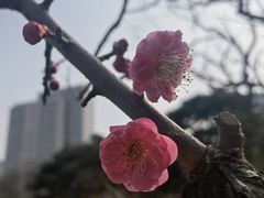 -西堤牛排(北京国瑞店)