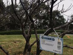 -金鸡山公园