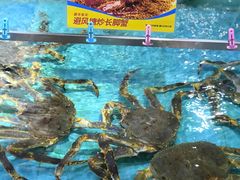 水产区-渔民新村(番禺总店)