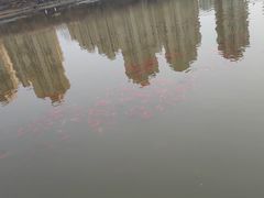 -前关湿地公园