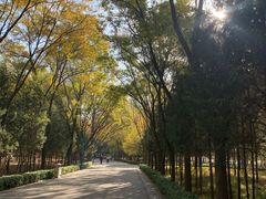 -森林公园(尖草坪区)