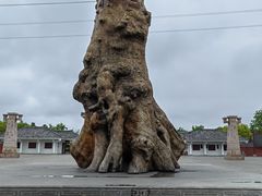 -许慎文化园