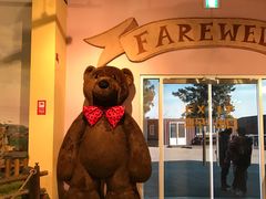 -济州岛泰迪熊博物馆