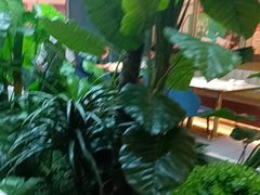 -悦海·家宴·冰花皮皮虾大锅贴(宝龙店)