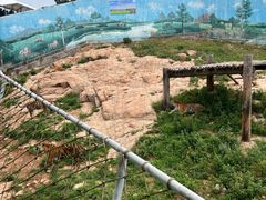 -西霞口神雕山野生动物世界