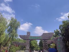 -溱湖国家湿地公园