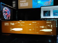 -同济大学四平路校区深海探索馆