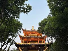 -白马涧龙池景区