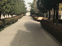 -法门文化景区