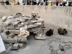 -保定市动物园