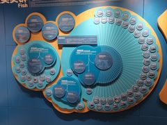 -青岛海底世界-水族馆