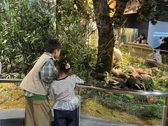 -陕西自然博物馆