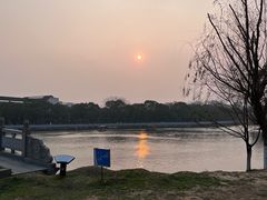 -八大山人梅湖景区