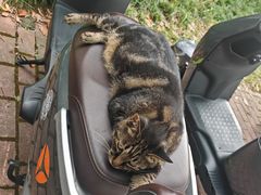 -上海交通大学(闵行校区)