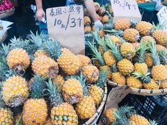 -红星农博物流中心