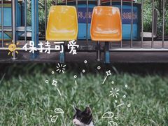-晓港公园