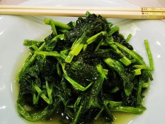 清炒豆苗-贵州大厦贵州厅(樱花园西街店)